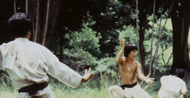 Bruces Secret Kung Fu (1988)